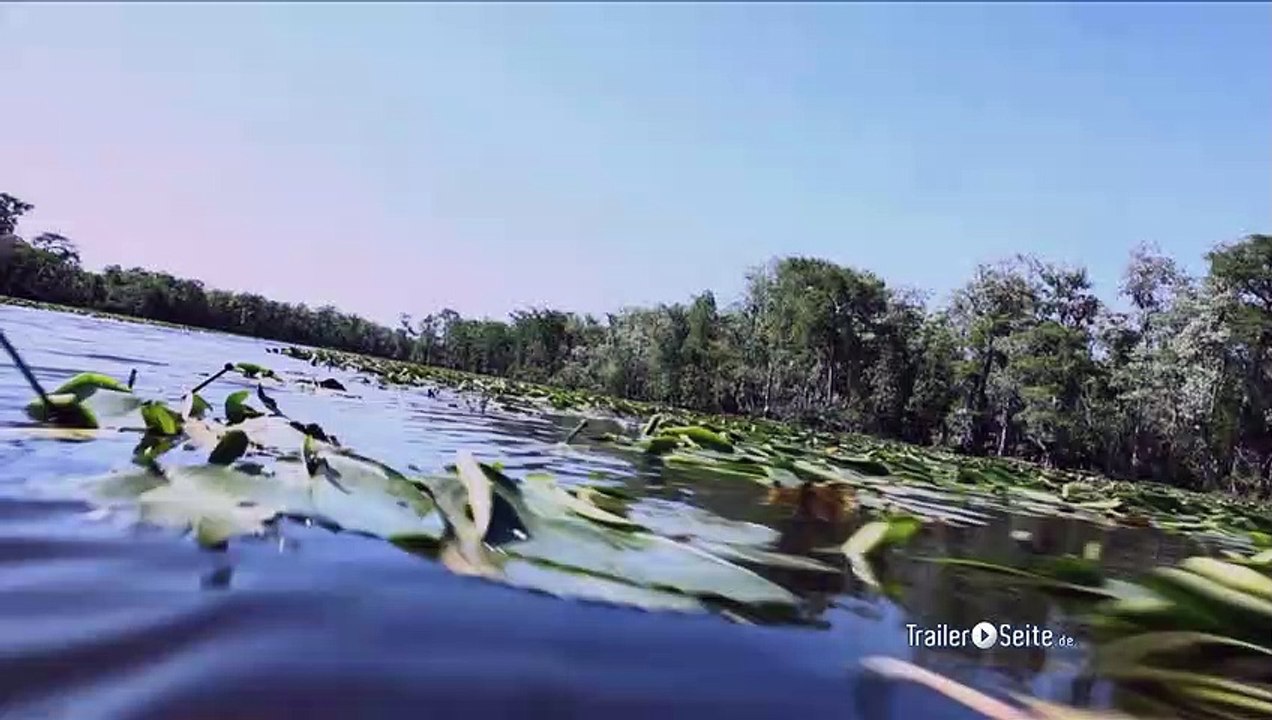 Creature Trailer (2011)