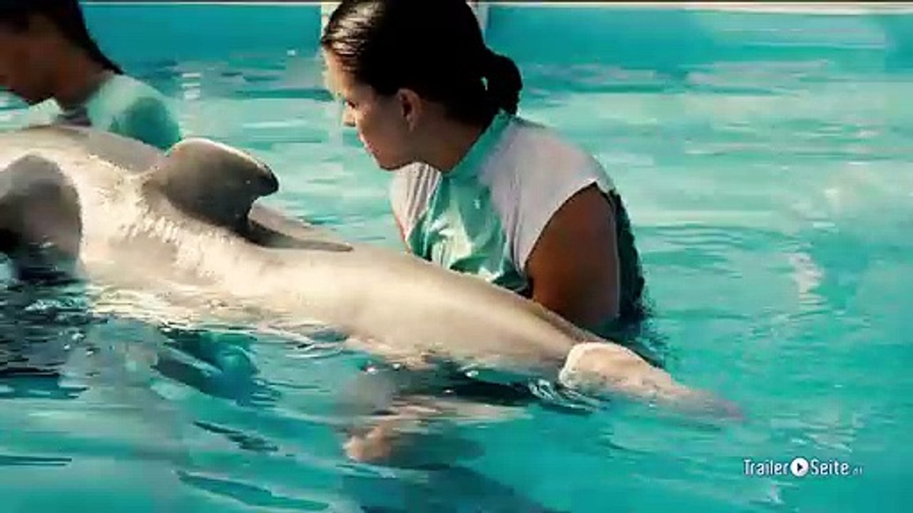 Mein Freund Der Delfin Trailer und Filmkritik (2011)