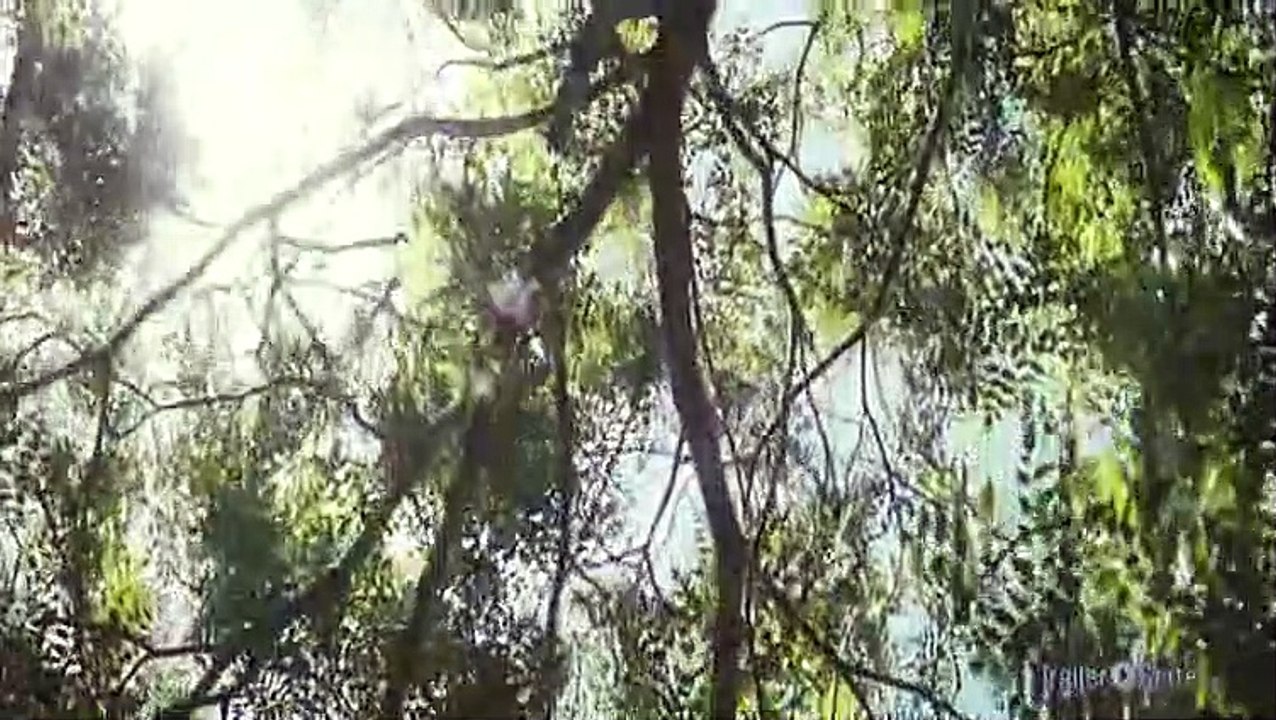 Oranges And Sunshine Trailer (2011)