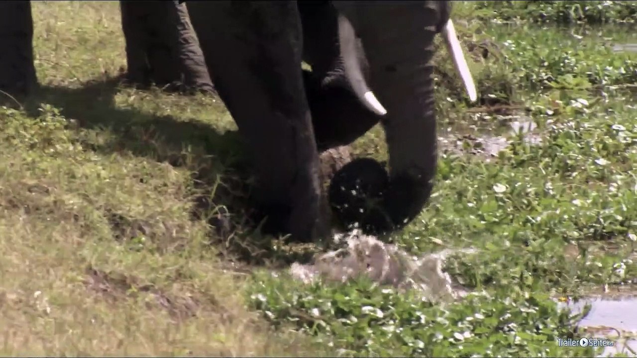 Unser Leben Trailer (2012)