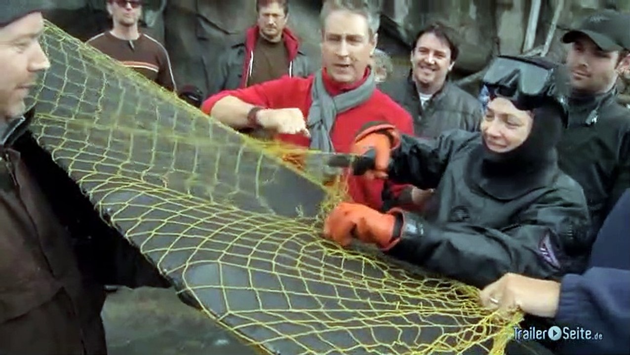 Drews tauchgang in der ruf der wale