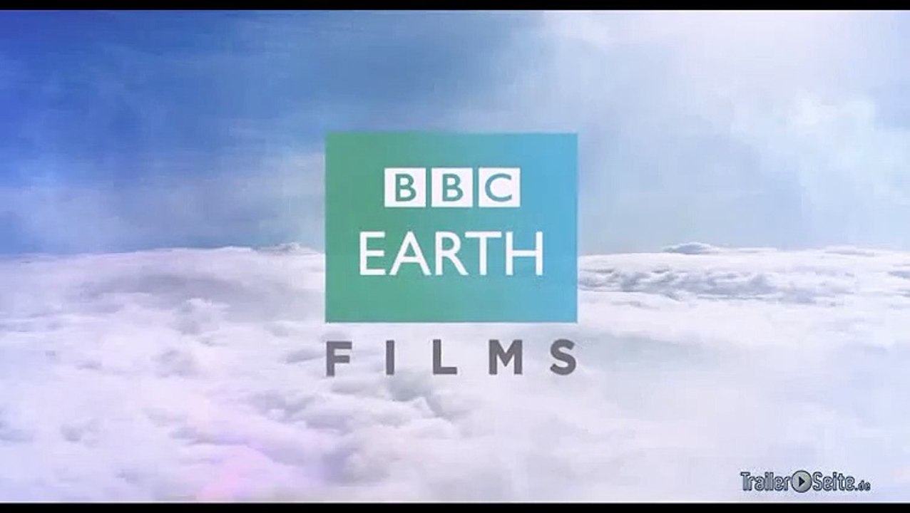 Ausschnitt aus Unser Leben: Lappentaucher