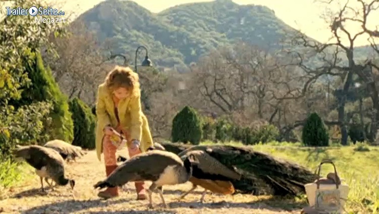 A Look Inside Wir Kaufen einen Zoo