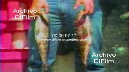 The terrifying cholera bacillus entered Peru 1991