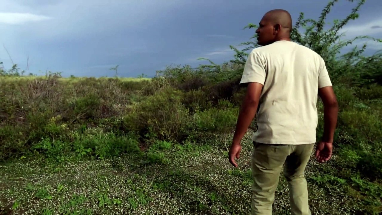 Siren Head- Horror Short Film