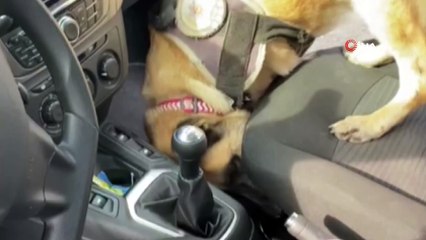 Uyuşturucuyu öyle bir yere sakladı ki polisler şok oldu