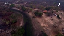حرائق غير مسبوقة بسبب الجفاف تلتهم مناطق كاملة في أميركا الجنوبية