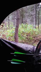 Hunter Experiences Incredible Encounter