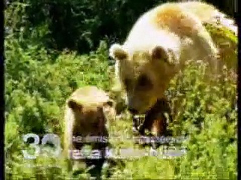 Résilienfance Reportage 30 Millions d'Amis Les animaux font classe - 2006