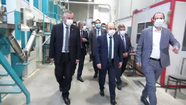 Vali Dağlı, Bafra’da incelemelerde bulundu