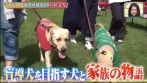 どうぶつピース！！ 2020年10月22日 盲導犬パピーウォーカー感動物語＆共演NGペットS - (edit 2/2)