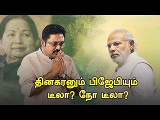 94 Years Old Karunandhi playing cricket !