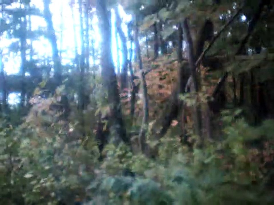 sehnsucht (last night) vocals only