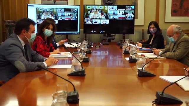 Sanidad y las CCAA aprueban los cuatro niveles de alerta frente al Covid