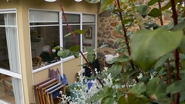 50 aged care residents sexually assaulted per week, inquiry hears