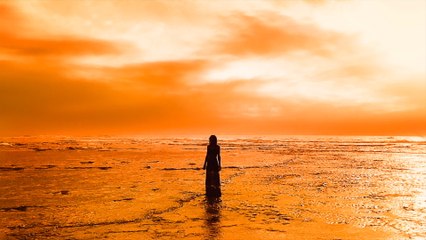 Sophie Hutchings - Orange Glow