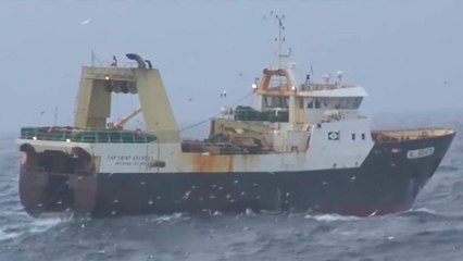 tn7-28-diputados-aprueban-reactivar-la-pesca-de-arrastre-en-el-país-221020