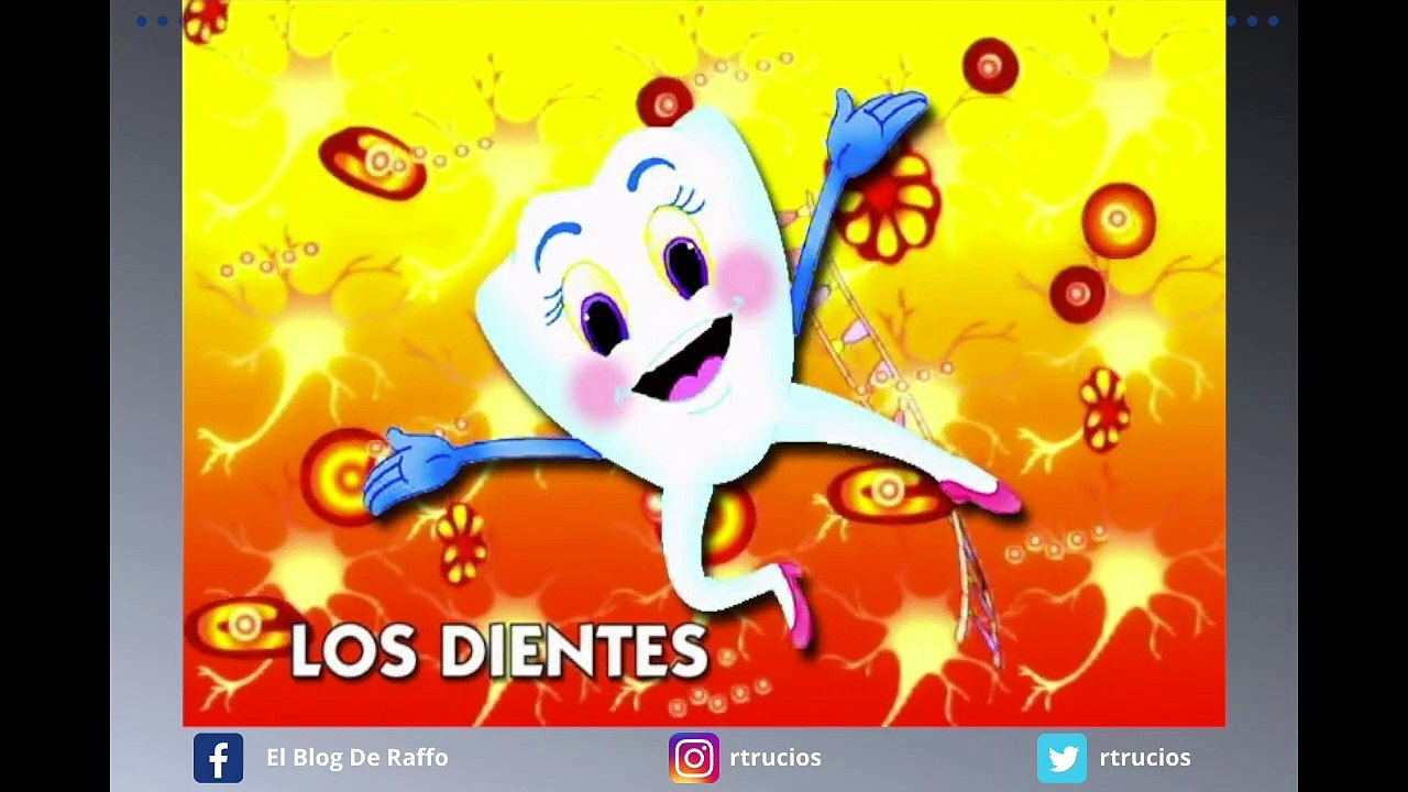 Sistema del aparato digestivo - Explicado para niños - ANATOMIA HUMANA