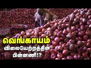 வெங்காயம் விலை இன்னும் உயருமா? | Onion Price Hike