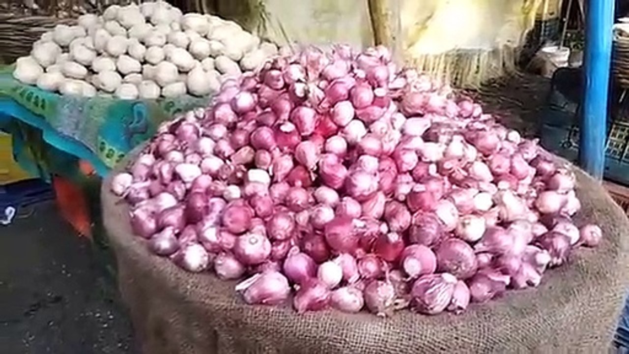 पंजाब अफगानिस्तान के प्याज ने शाजापुर मंडी के प्याज के भाव पर असर डाला