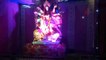 शाजापुर: नवरात्रि में नगर में कई जगह सजे माता रानी के मन्दिर