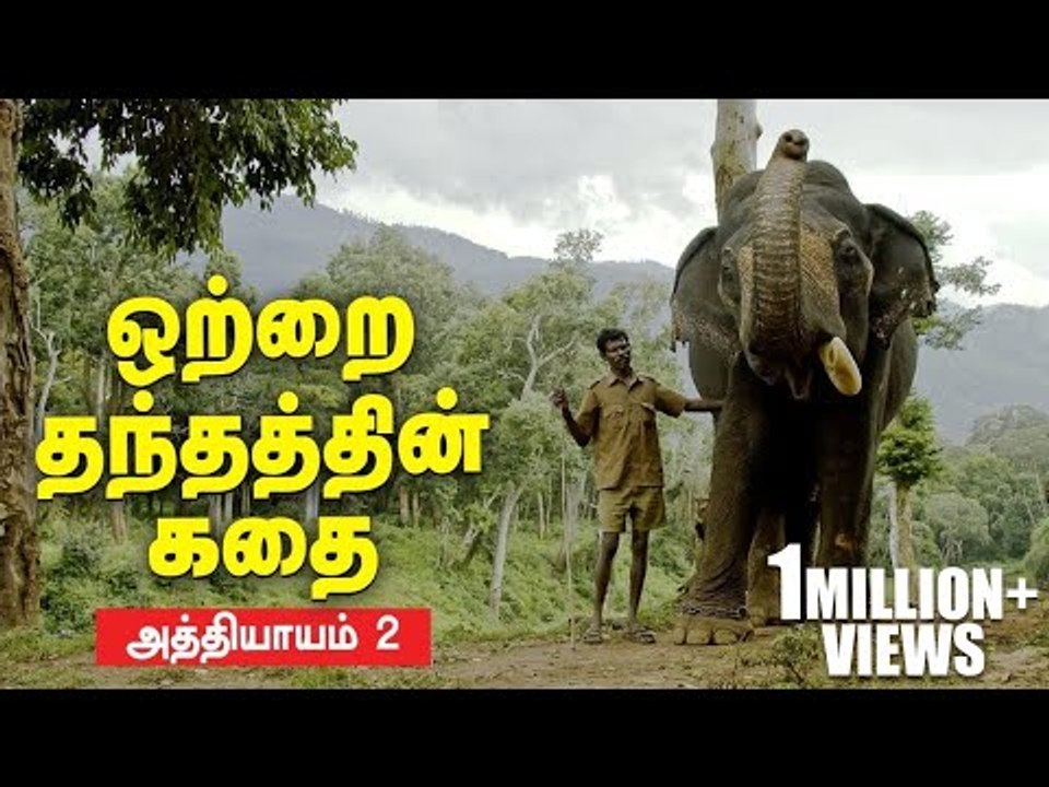 நேருக்கு நேர் மோதிய மதம் பிடித்த யானைகள்! | Kumki Series | Episode 2