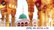 Allah Ki Hai Shan Madina Munawwara | Hafiz Muhammad Talha Sultani | Naat | IQRA