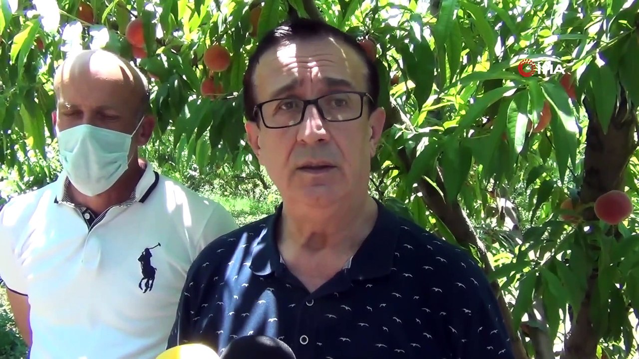 Şeftali Hasadı Başladı, Hedef Rusya