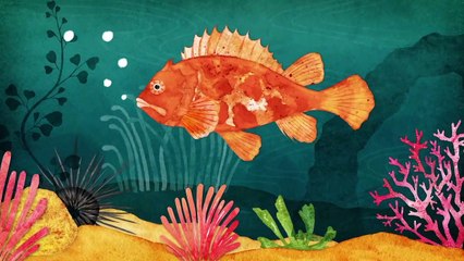 À l'écoute de la nature - L'Énigme du cri silencieux