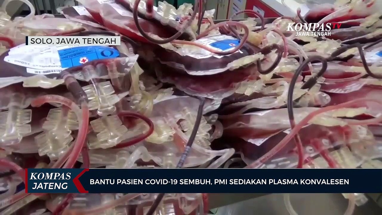 Bantu Pasien Covid-19, PMI Sediakan Plasma Konvalesen