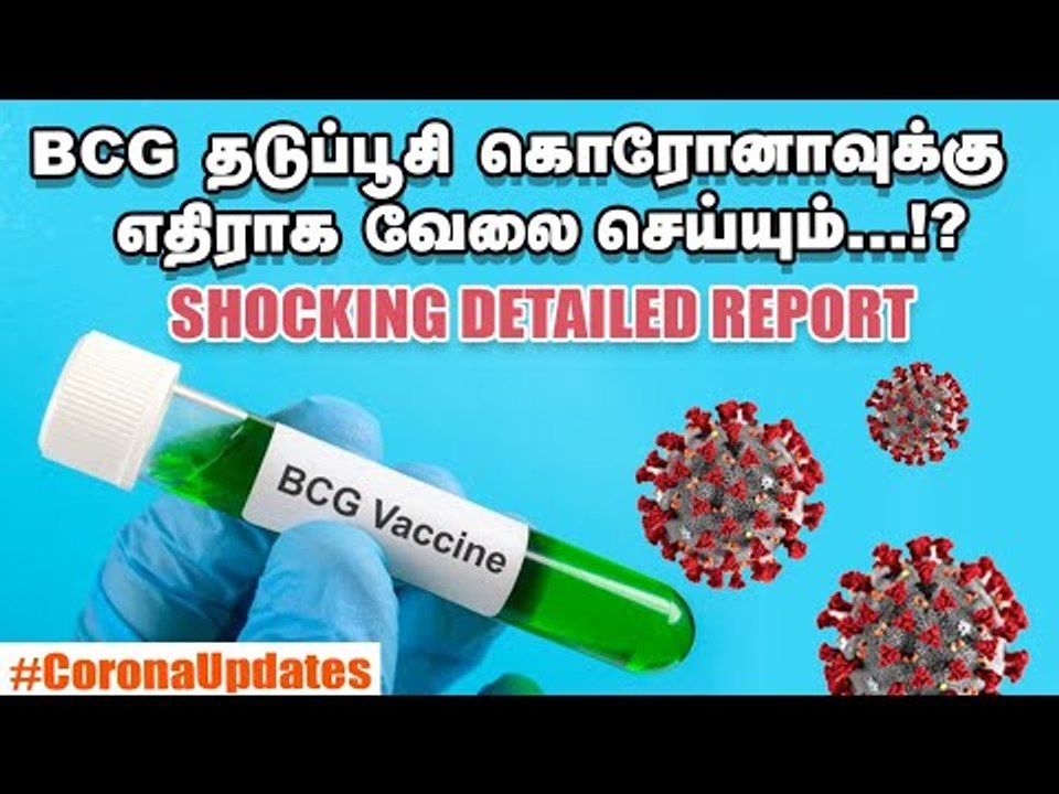 BCG Vaccine மக்களுக்கு கை கொடுக்குமா ? #bcgvaccine #Coronavirus #Covid19