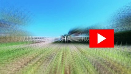 Mahindra Thar Lx 2020 BsVI