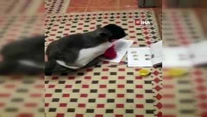 Kars’ta böyle ders çalıştı