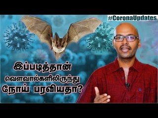 Bat-களால் வேறு என்ன நோய் வரும்? - Geo Damin Poovulagin Nanbargal #Coronavirus