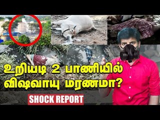 மக்களை பலியாக்கியது விஷவாயுவா? மெத்தனப்போக்கா? #Vishakapatnam #vizaggasleak | Elangovan Explains