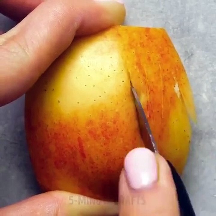 Do it YourSelf Videos 125
