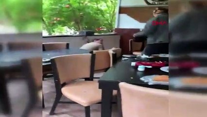 Rus mal sahibi 15 kişiyle baskın yaptı, kiracısını dövdü