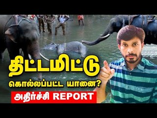 கொல்லப்பட்ட கேரளா யானை...மறைக்கப்பட்ட உண்மை! #elephantkerala