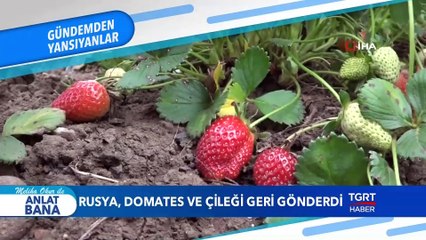 Amerika'da Başarı Nasıl Yakalanır? - Meliha Okur ile Anlat Bana - 24 Nisan 2019