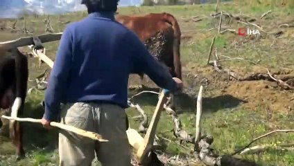 Bahar Geldi, Çiftçilerin Yoğun Mesaisi Başladı