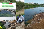 Forêt classé, mer et marigot : Vers la disparition des espaces naturels de Mbao, Macky Sall est alerté