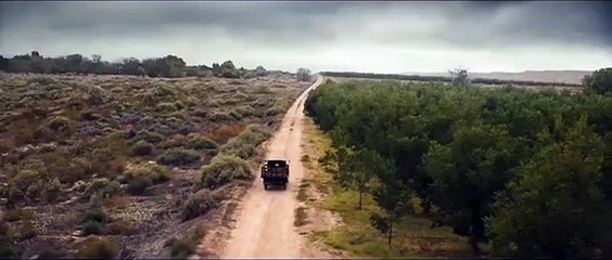 Bande-annonce de Dreamland avec Margot Robbie