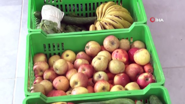 Bu Mutfaktaki Kazanlar 2 Bin 600 Hayvan İçin Kaynıyor