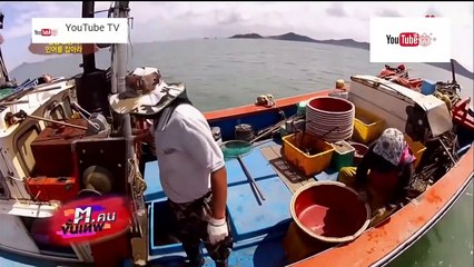 จับ! ปลาดอกเหลืองยักษ์!! ตัวละล้านวอน ที่เกาหลี  ฅ.คนขั้นเทพ