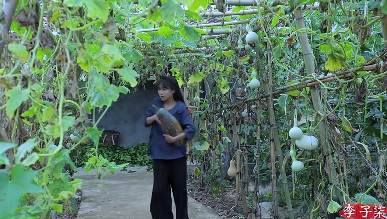 又到了瓜果蔬菜怎么吃都吃不完的季节，脑壳疼呐   Liziqi Channel