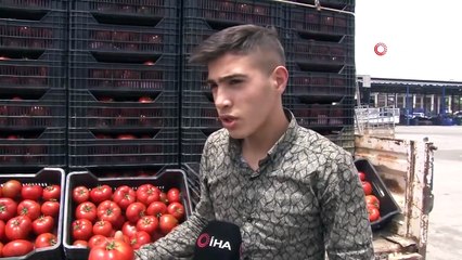Domates Üreticisini Kışın Sevindirdi, Yazın Üzüyor