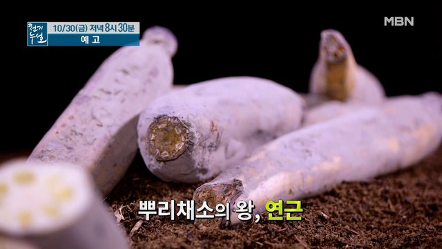 혈관 살리는 뿌리의 힘! 연근