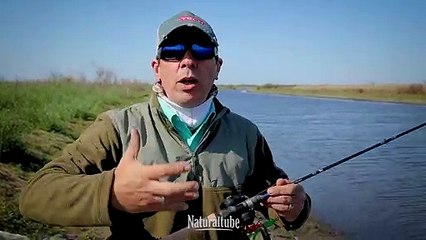 TARARIRAS Cómo encontrarlas y que señuelos usar - T&T