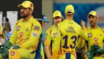 IPL 2020 : MS Dhoni Chennai Super Kings Playoff Chances Are Over - Styris