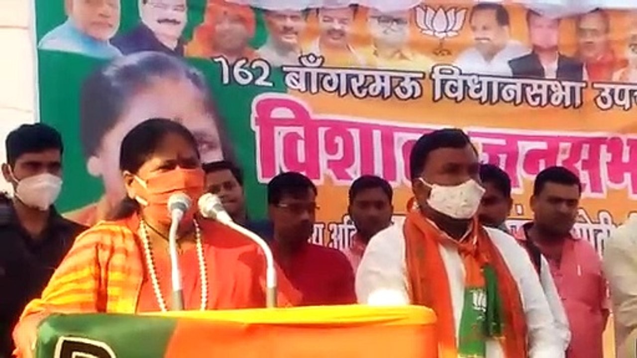 जानिए चुनाव प्रचार में पहुंची मंत्री साध्वी निरंजन ज्योति क्या बोलीं